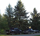 DSC05710.jpg