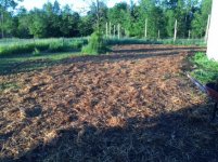 Seeded Duck Yard.jpg
