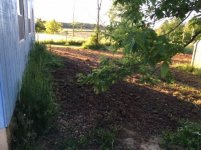 Tween sheds tillage 2 .jpg