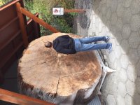 IMG_4109[36322].jpg