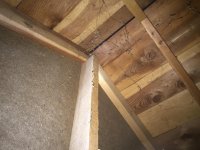 IMG_3282.jpg