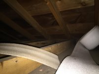 IMG_3270.jpg
