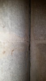 20170605_180342.jpg