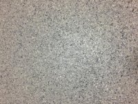 IMG_1299.jpg