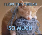 kitten loves this thread.JPG