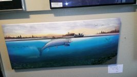 WP_20170616_018[35244].jpg