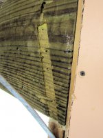 Termites 38.jpg