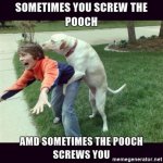 sometimes-you-screw-the-pooch-amd-sometimes-the-pooch-screws-you.jpg