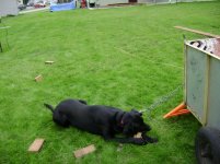 Dsc00570.jpg