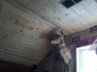 IMG01124.jpg