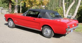 mustang03.jpg