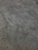 IMG_0235.jpg