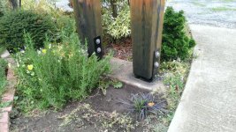 WP_20161004_001.jpg