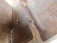 DSCN5478.jpg