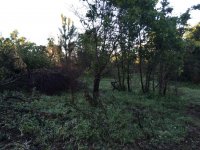 IMG_1869.jpg