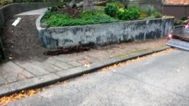 WP_20171029_004.jpg