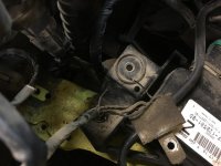 IMG_6334[1].jpg