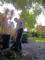 Pruning Festival 4.jpg