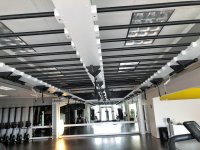 queen ax by precor on steroids (2).jpg