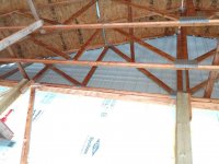 trusses.jpg