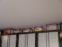 MODEL08.jpg
