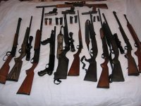 collection.jpg