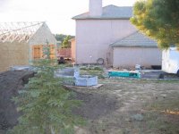 IMG_3423.JPG