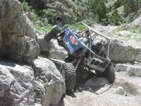 catcanyon5-10-07 (Small) (Custom).JPG