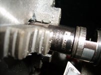 SD530498.jpg