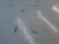 Garage Floor 1.jpg