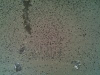 photo(2).JPG