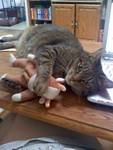 Pixie and binky.jpg