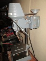 IMG_3768.JPG