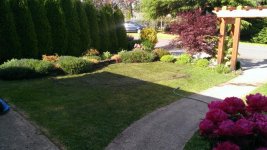 WP_20170608_007[34033].jpg