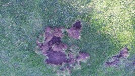 WP_20161017_027.jpg