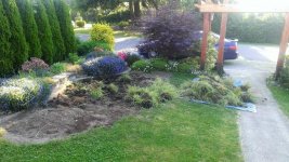 WP_20170528_001[33301].jpg