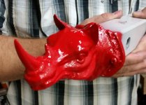 Red Rhino.jpg