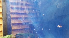 20171002_164120.jpg