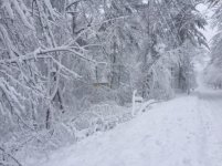IMG_0035.jpg