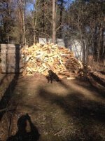29 Wood Pile.jpg