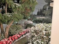 snow day 3 (2).jpg