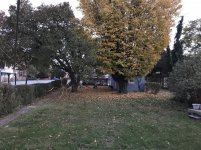 174.jpg