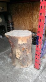 WP_20170316_019[24989].jpg