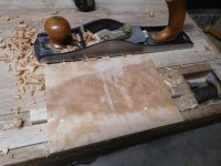 DSCN5209.jpg