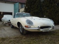 jaguars 010.jpg
