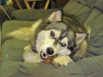 IMG_0614.jpg