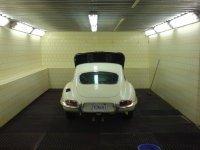 jaguar honza 028.jpg