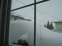 DSC07535.JPG