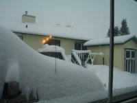 DSC07536.JPG
