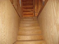 IMG_1135 (Medium).JPG